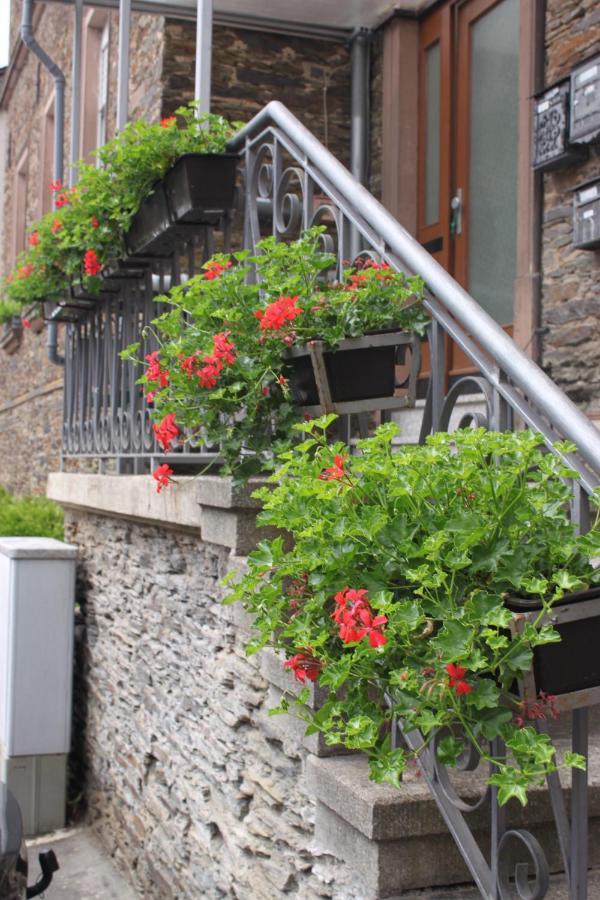 Moselloft Zeltingen-Rachtig Exterior foto